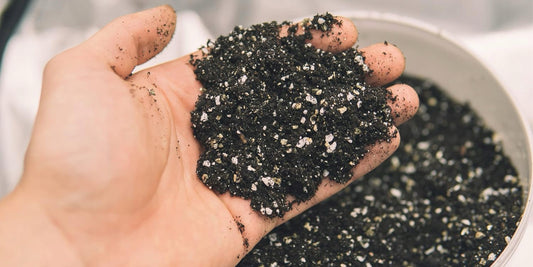 5 Liter (0–3 mm Körnung)